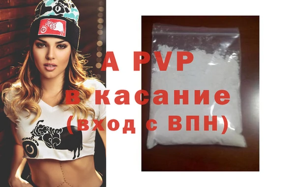 ECSTASY Кукмор