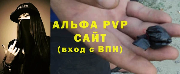 прущие грибы Куйбышев
