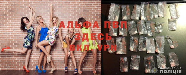 прущие грибы Куйбышев