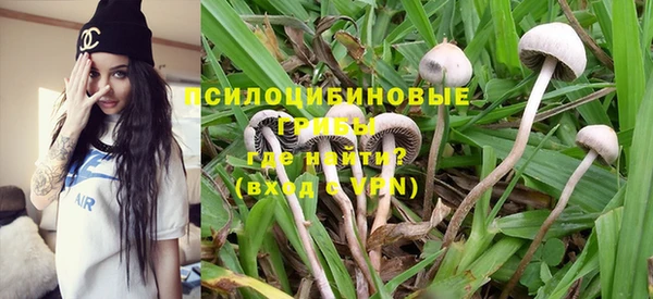 ECSTASY Кукмор