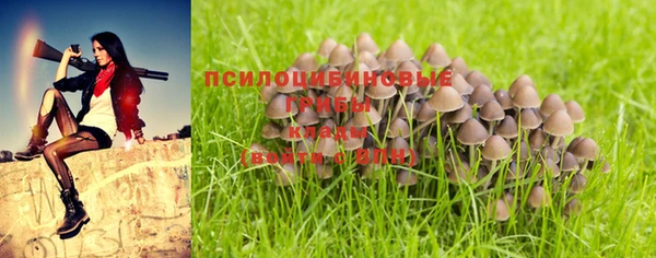 ECSTASY Кукмор
