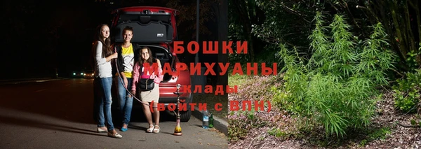 ECSTASY Кукмор